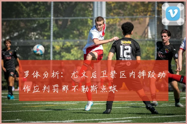 罗体分析：尤文后卫禁区内摔跤动作应判罚那不勒斯点球