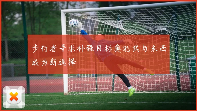 步行者寻求补强目标奥孔武与米西成为新选择