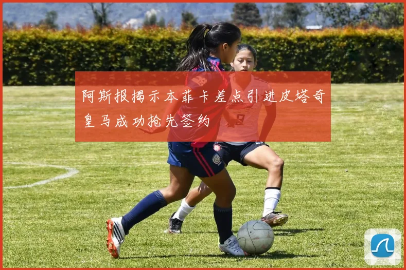 阿斯报揭示本菲卡差点引进皮塔奇皇马成功抢先签约