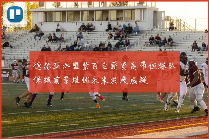 德赫亚加盟紫百合薪资高昂但球队保级前景堪忧未来发展成疑